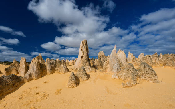 пустыня пиннакс, национальный парк намбунг, западная австралия, океания - australia desert pinnacle stone стоковые фото и изображения