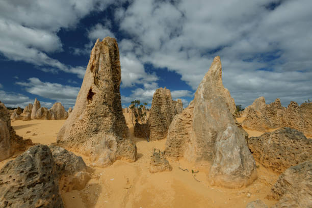 пустыня пиннакс, национальный парк намбунг, западная австралия, океания - australia desert pinnacle stone стоковые фото и изображения