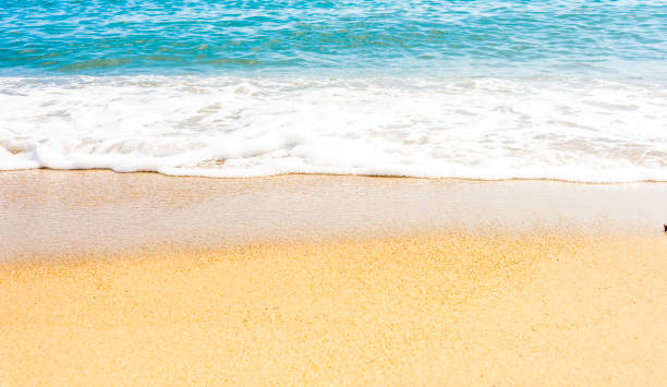 istock Soft wave of ocean on the sandy beach 1034830966