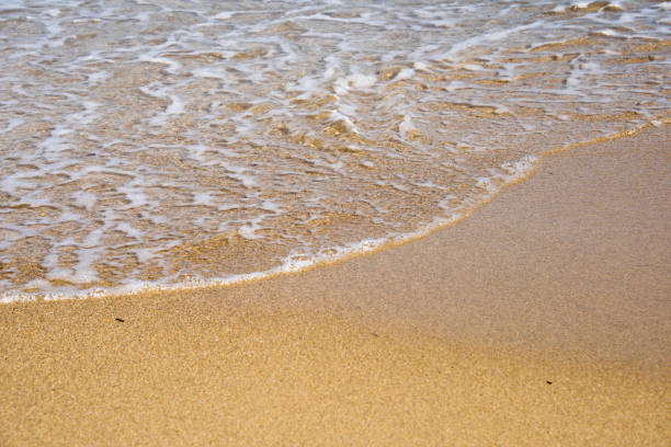 istock Soft wave of ocean on the sandy beach 1034831328
