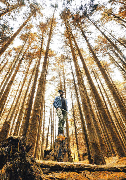 istock successful man in the middle of the forest 1034842338