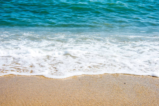 istock Soft wave of ocean on the sandy beach 1034842604