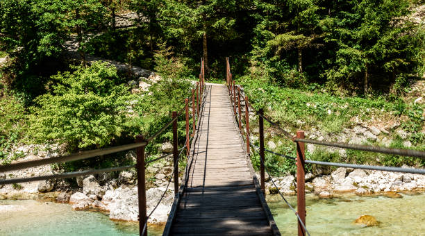 istock Wooden hanging bridge leading forward over green mountain river. 1034845376