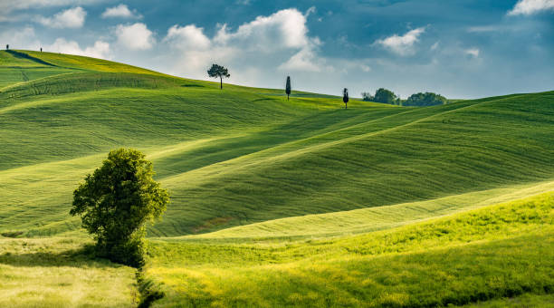 istock Sunny landscape from Val d'Orcia, Tuscany, Italy 1034848100