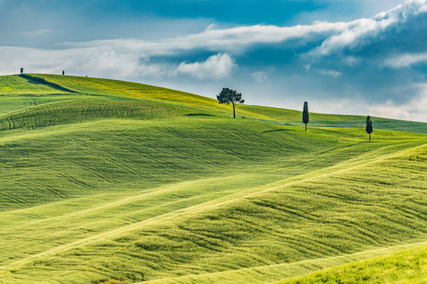istock Sunny landscape from Val d'Orcia, Tuscany, Italy 1034849876