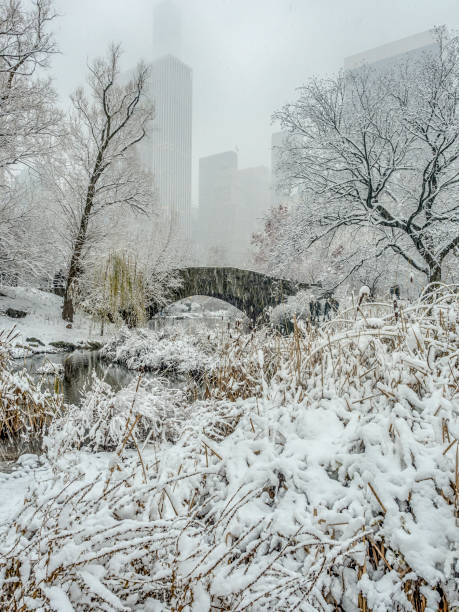 istock Central Park, New York City 1034850434