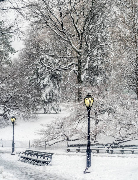 istock Central Park, New York City 1034855096