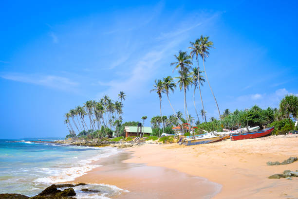 istock beautiful landscape with beach 1034857168