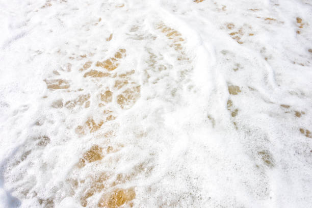 istock Soft wave of ocean on the sandy beach 1034868350