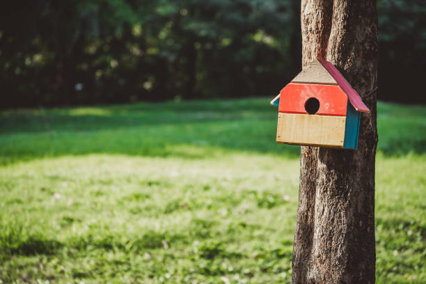 istock Squirrel's birds house over green park background, landscape view 1034868900