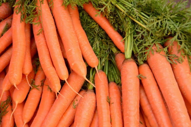 istock Bunch of roots with foliage. 1034876528