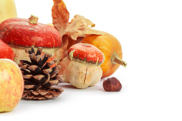 istock Autumn display with pumpkin and leaves isolated on white background 1034880510