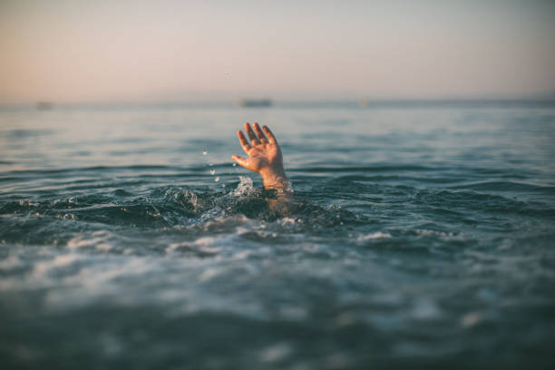 istock Struggle in the sea 1034893808