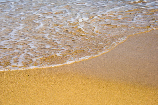 istock Soft wave of ocean on the sandy beach 1034893818