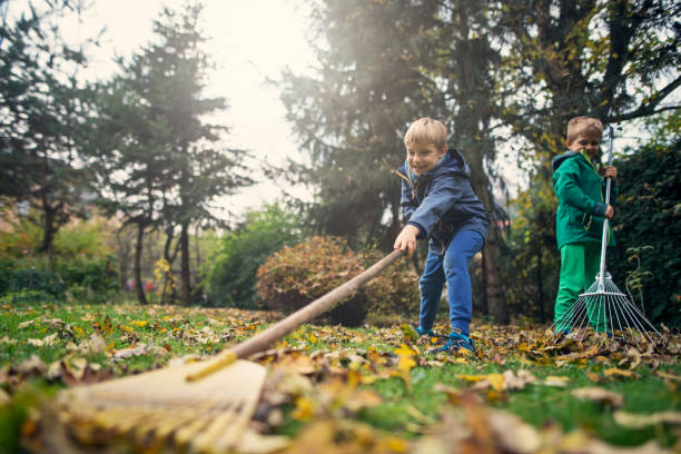 istock Little boys having fun raking autumn leaves 1034894652