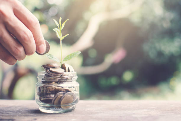 istock Cropped Image Of Hand Putting Coins In Jar With Seedling 1034895318