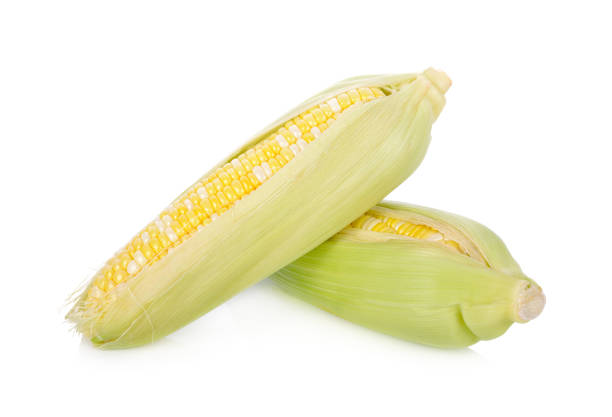 fresh bicolors sweet corn on white background fresh bicolors sweet corn on white background variegated foliage stock pictures, royalty-free photos & images