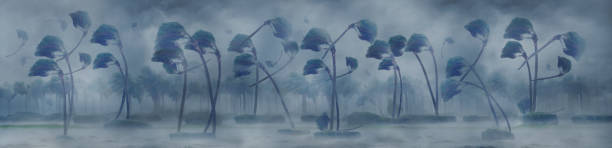 Illustration idea for Hurricane Florence making landfall.