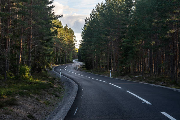 istock Curvy asphalt road passing through a pine forest in Sweden 1034913350