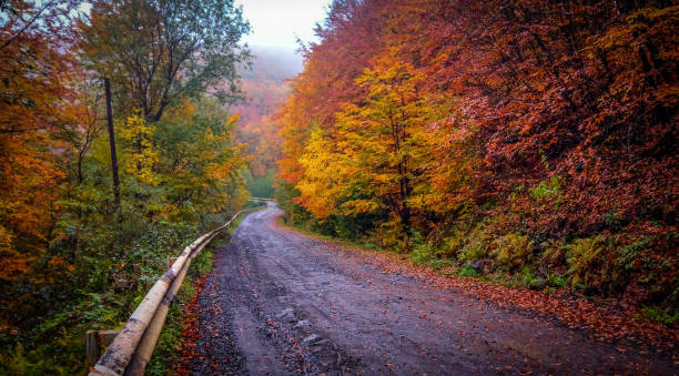 istock Autumn in the village 1034916416