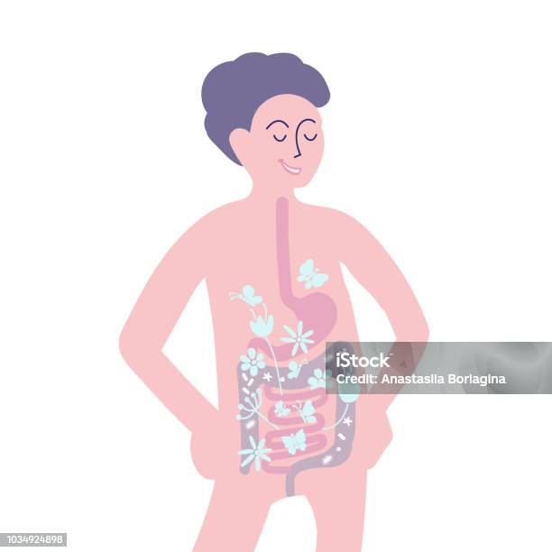 Probiotics Benefits Scheme Of Influence Of Probiotics On A Human Body Stock Illustration - Download Image Now