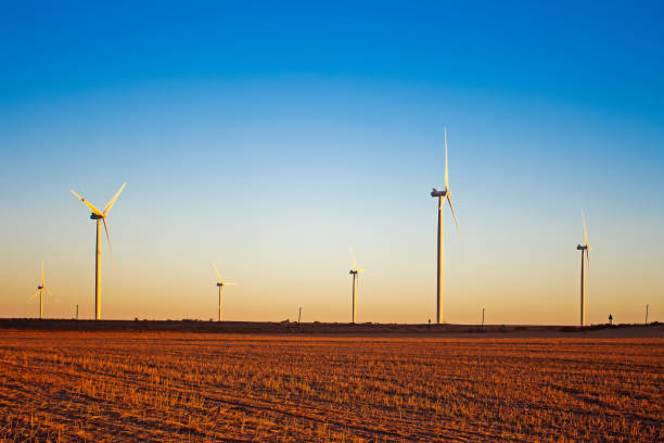 Wind turbines in late afternoon light