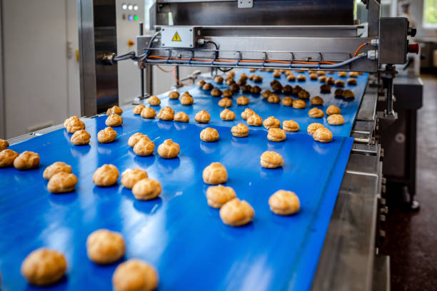 istock Profitrols on a conveyor belt at a bakery plant 1034951844
