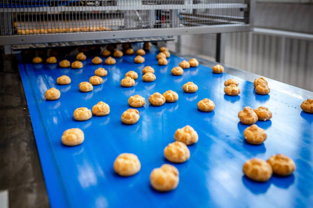 istock Profitrols on a conveyor belt at a bakery plant 1034951992