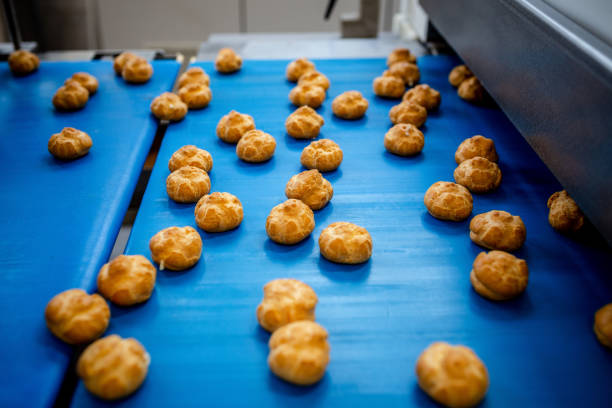 istock Profitrols on a conveyor belt at a bakery plant 1034952114