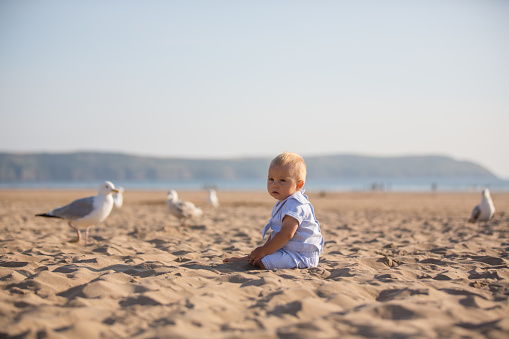 Cute baby boy, adorable child, playing with seagulls at the edge of the ocean coast