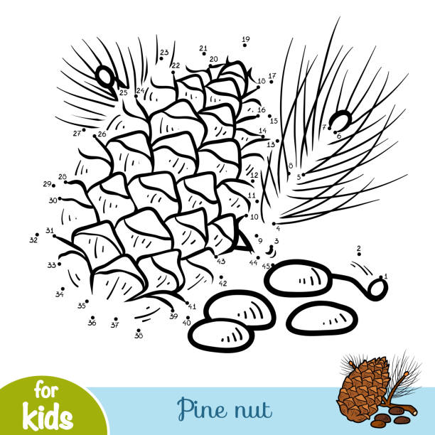 ilustrações, clipart, desenhos animados e ícones de jogo de números, educação, jogo para crianças, pinhão - pine nut tree pine tree pine cone