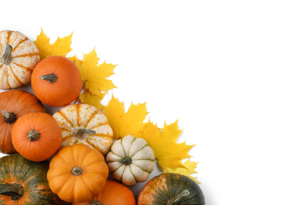 istock Pumpkins and leaves on white 1034968124