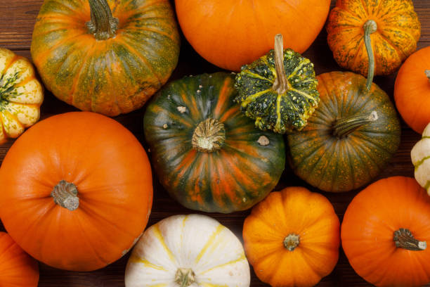 istock Pumpkins on wooden background 1034968146