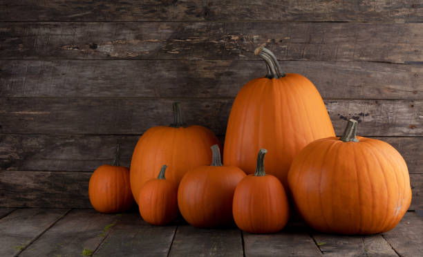 istock Pumpkins on wooden background 1034968166