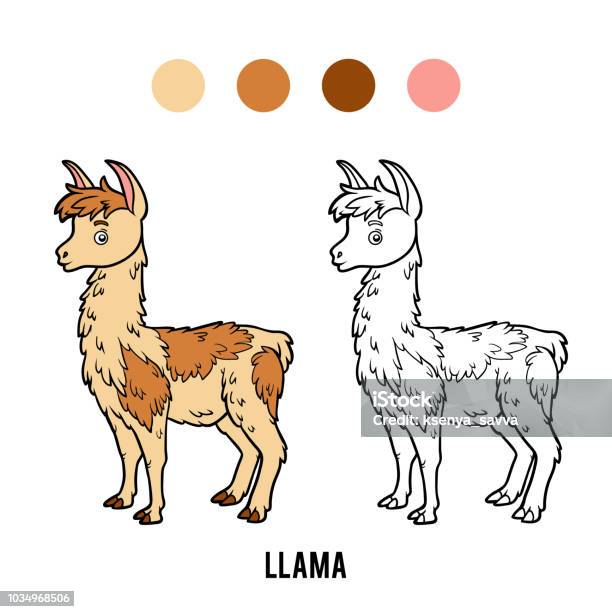 Coloring Book Llama Stock Illustration - Download Image Now - Alpaca, Animal, Animal Wildlife