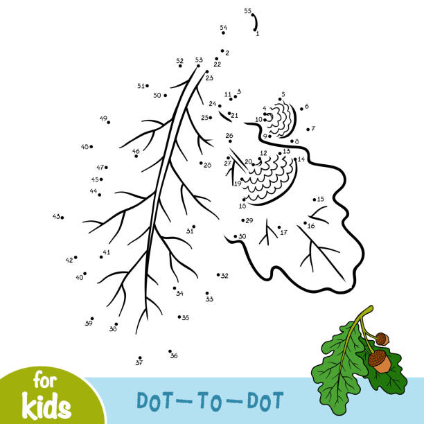 ilustraciones, imágenes clip art, dibujos animados e iconos de stock de juego de números, educación para los niños, rama de encina - oak leaf oak tree acorn season