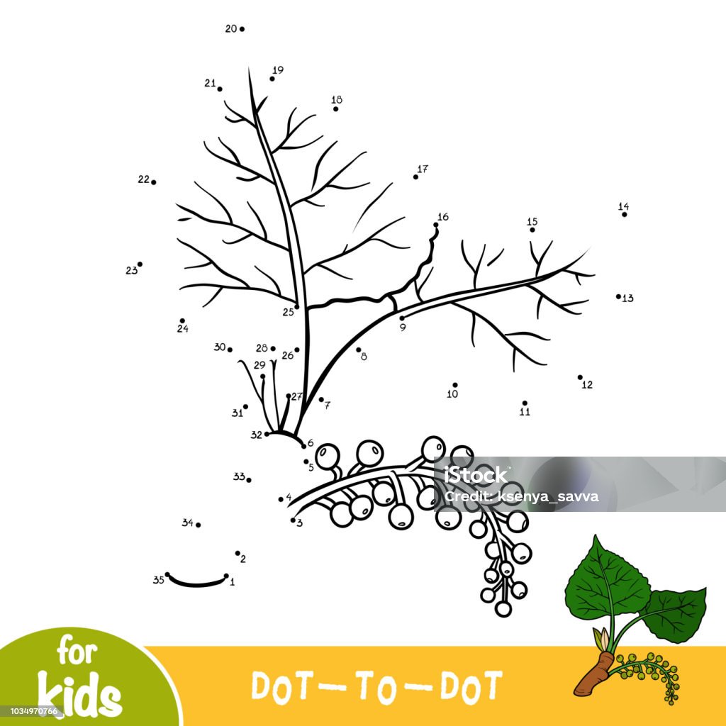 Numbers game, dot to dot game for children, Black poplar branch Numbers game, education dot to dot game for children, Black poplar branch Connect the Dots stock vector