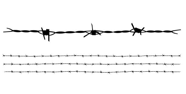 illustrations, cliparts, dessins animés et icônes de collection de fils de fer barbelés vector isolée sur fond blanc. - barbed wire fence wire danger