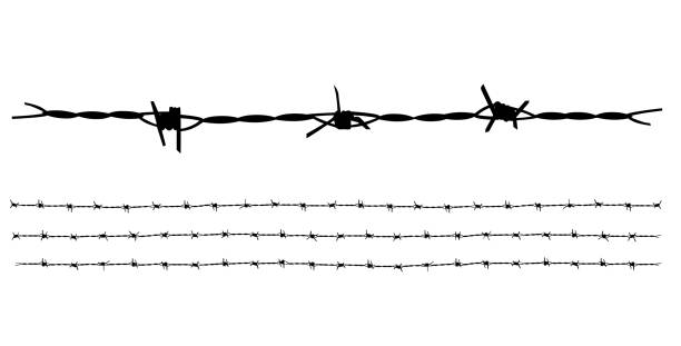 kolekcja wektorów drutu kolczastego izolowana na białym tle. - barbed wire wire war prison stock illustrations