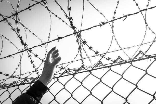 istock Cropped Hand Reaching Barbed Wire Against Clear Sky 1034986324