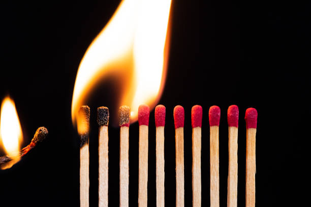 Lit match next to a row of unlit matches. The Passion of One Ignites New Ideas, Change in Others. Lit match next to a row of unlit matches. The Passion of One Ignites New Ideas, Change in Others. unlit match stock pictures, royalty-free photos & images