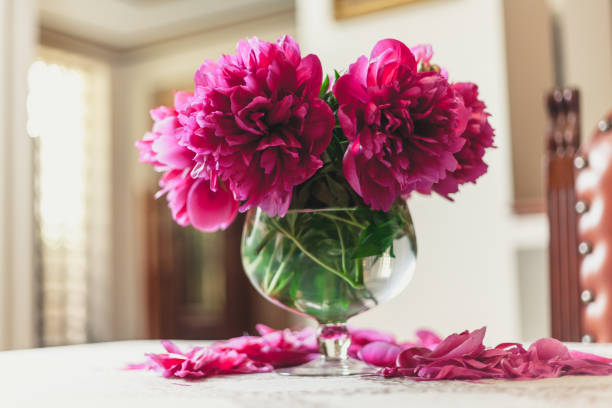 red peonies in glass vase stand on table