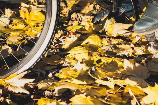 istock Men foot on pedal bicycle in autumn park 1034994876