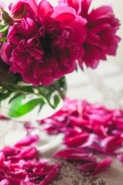 istock red peonies in glass vase stand on table 1035001484