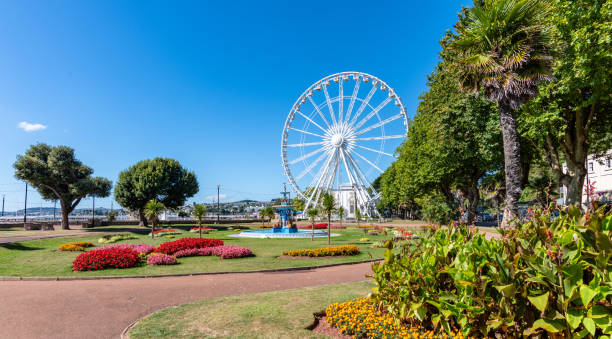 колесо обозрения в саду принцессы в торки, девон - torquay стоковые фото и изображения