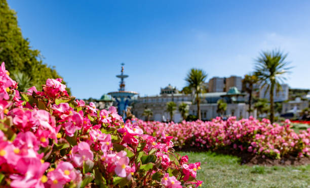 Flowers in Princess Garden in Torquay, Devon Flowers in Princess Garden in Torquay, Devon. A public park. torquay uk stock pictures, royalty-free photos & images
