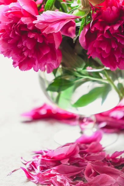 red peonies in glass vase stand on table