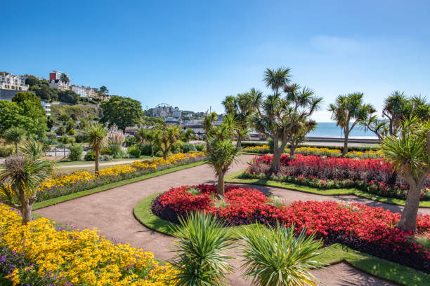 красочные цветы в парке аббатства в торки, девон - torquay стоковые фото и изображения