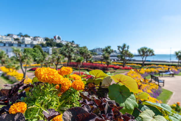 istock Colourful flowers in Abbey Park in Torquay, Devon 1035007910