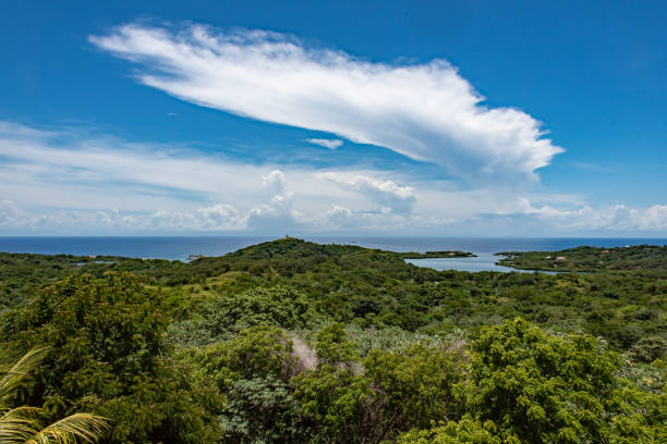 Cumulonimbus storm cloud developing over Caribbean Sea with island landscape foreground